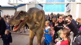 T Rex Dinosaur  Big Foot Events [upl. by Evilo]