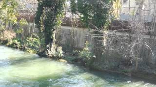 Nera River Terni Umbria Italy Fiume Nera [upl. by Atinnor556]