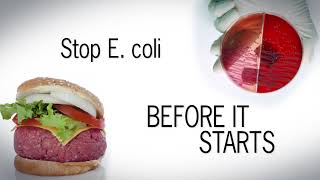 How to Stop E coli Before It Starts [upl. by Atinhoj]