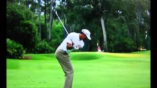 Tiger Woods  2012  DTL  300fps Slow Motion  Wedge [upl. by Htebsil]