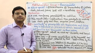 Anthelmintic Drugs Part06 Final Niclosamide amp Praziquantel Mechanism of Action  Anthelmintic [upl. by Ydassac]