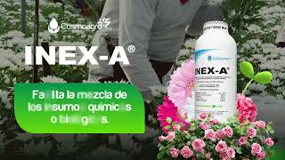 INEXA El coadyuvante seguro para la floricultura [upl. by Abby836]