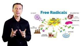 What Is Oxidation – DrBerg on Free Radicals and Antioxidants [upl. by Crisey905]