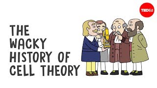 The wacky history of cell theory  Lauren RoyalWoods [upl. by Aileme]