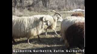 Gurbetlik Gurbetlik Zalim Gurbetlik [upl. by Weitman]