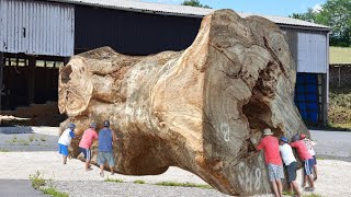 Amazing Sawing❗The Dragon Gods Legacy Trembesi Wood Sawed  Sawmills In Action [upl. by Ydnas]