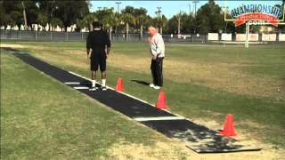 Develop Your Triple Jump using a Great Progression Workout [upl. by Dorri]