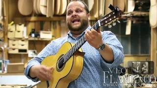 David Barrull tocando y cantando por bulerias en Guitarrería Alvarez amp Bernal​  VEOFLAMENCO [upl. by Mayworm]