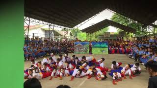 Wikang Filipino sa Pambansang Kalayaan at Pagkakaisa  AMLHS Champion [upl. by Siravart398]