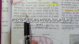 माइटोकॉन्ड्रिया की संरचना तथा कार्य का वर्णन [upl. by Braun997]