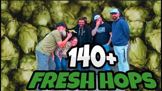 Episode 119  We Tried 140 Fresh Hop Beers [upl. by Gnaig298]