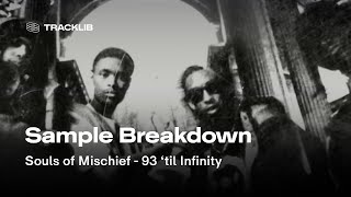 Sample Breakdown Souls of Mischief  93 til Infinity [upl. by Barnaba]