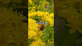 The Vanishing Honeybees A Global Crisis shorts savethebees earth climate trending viral [upl. by Dare]