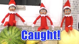 The Elf on the Shelf CAUGHT TALKING on Camera [upl. by Tomlinson166]