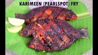 Karimeen Pearlspot fry [upl. by Annaet]