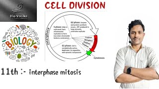 Bio vatika class 11th  Cell division lacture2  Inter phase Mitosis viral [upl. by Fulks]