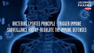 What are bacterial lysates [upl. by Parthen]