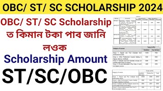 OBC ST SC Scholarship ত কিমান টকা পায় Scholarship Amount of OBC ST SC  NSP Scholarship Amount [upl. by Aehtla804]