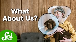 Why Your Dog Has An AntiTick Pill And You Don’t [upl. by Arraek]