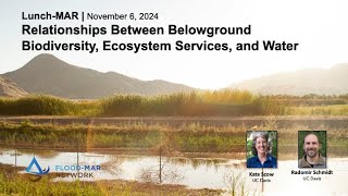 LunchMAR  Relationships Between Belowground Biodiversity and Water Nov 2024 [upl. by Anirak61]