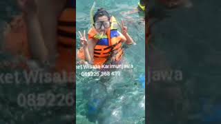 Paket Wisata Karimunjawa [upl. by Tedi143]