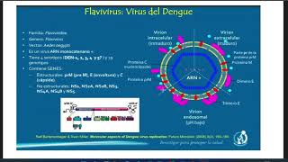 TOXOPLASMOSIS DENGUE Y MIASIS  PRÁCTICA MICROBIOLOGÍA [upl. by Leunamnauj]