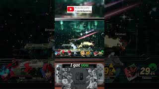 Welcome to the internet supersmashbros multiplayer vs [upl. by Iosep]