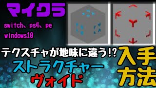 【マイクラ】テクスチャが違うストラクチャーヴォイドの入手方法【スイッチ対応】 [upl. by Nyssa]