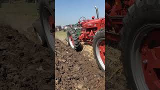 Farmall 400 and M Tandem Plowing at the Half Century of Progress Show tractor dirt [upl. by Alatea131]