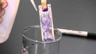 PlantEd Digital Learning Library  Gram Stain Procedure [upl. by Shelli]