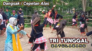 dangsak  cepetan alas TRI TUNGGAL  live watulawang Pejagoan kebumen [upl. by Nossila]