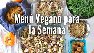 Preparando mi Comida de la Semana  Vegano Sabrosón [upl. by Riada]