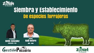 Siembra y establecimiento de especies forrajeras [upl. by Leizahaj]