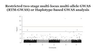 Haplotypebased GWAS analysis using rtmgwas software A quick GWAS tutorial [upl. by Darbie]