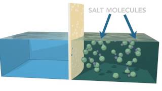 Reverse Osmosis Process [upl. by Noside]