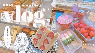 aesthetic weekend vlog 🍡 staying in a tiny house anime cooking  fruit sando road trip hmart [upl. by Ludly]