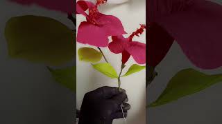 Beautiful hibiscus flower with crepe paper craft shots Video [upl. by Cohby]