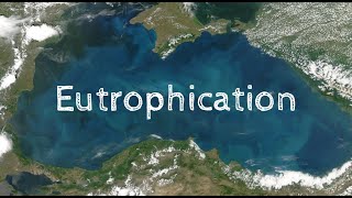 Eutrophication quick notes [upl. by Sirdna832]