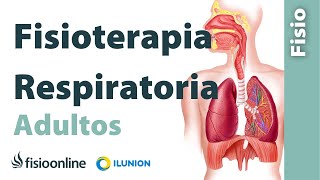 Fisioterapia respiratoria en el paciente adulto Importancia y Beneficios [upl. by Dennis]