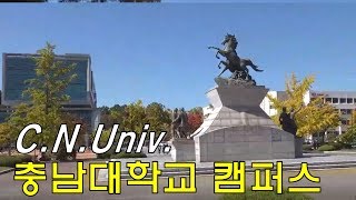 충남대학교 캠퍼스 가을풍경 Chungnam National University [upl. by Sahc]