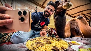 Choti si Bat pe Camel ki DAWAT 🤦‍♂️ [upl. by Anilatsyrc]