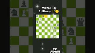 Mikhail Tal Brilliancy ✨🤫 체스 바비피셔 탁월 chess mikhailtal tal [upl. by Mose]