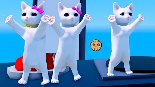 Kitten Family Cat House Roblox [upl. by Attevroc]