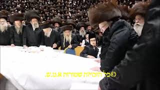 Belzer Rebbe Motzei Yom Kippur 5785 [upl. by Siwel]