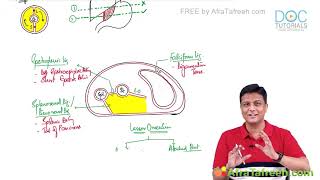 Anatomy of abdomen peritoneum FMG USMLE step 1 NRE exam clinical correlates [upl. by Ehrlich]