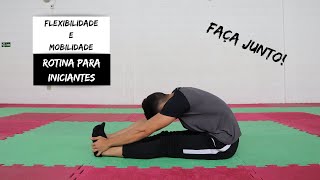 Rotina de Flexibilidade e Mobilidade para Iniciantes FAÇA JUNTO  Alongamentos [upl. by Ronica323]