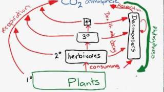 The Carbon Cyclemp4 [upl. by Aifas738]