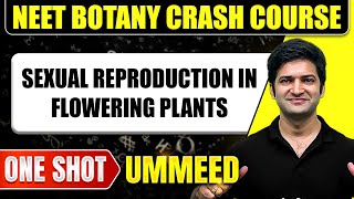 SEXUAL REPRODUCTION IN FLOWERING PLANTS in 1 Shot All Concepts Tricks amp PYQs  NEET Crash Course [upl. by Sillek]