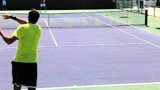 Juan Martin Del Potro Forehand and Backhand in Slow Motion [upl. by Lemuelah952]