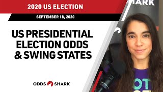 2020 US Presidential Election Betting Odds amp Swing States [upl. by Tindall]